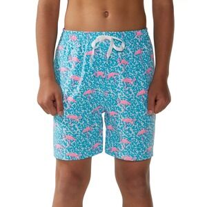 Chubbies The Domingos Are For Flamingos Youth Classic Swim Trunk Large NWT